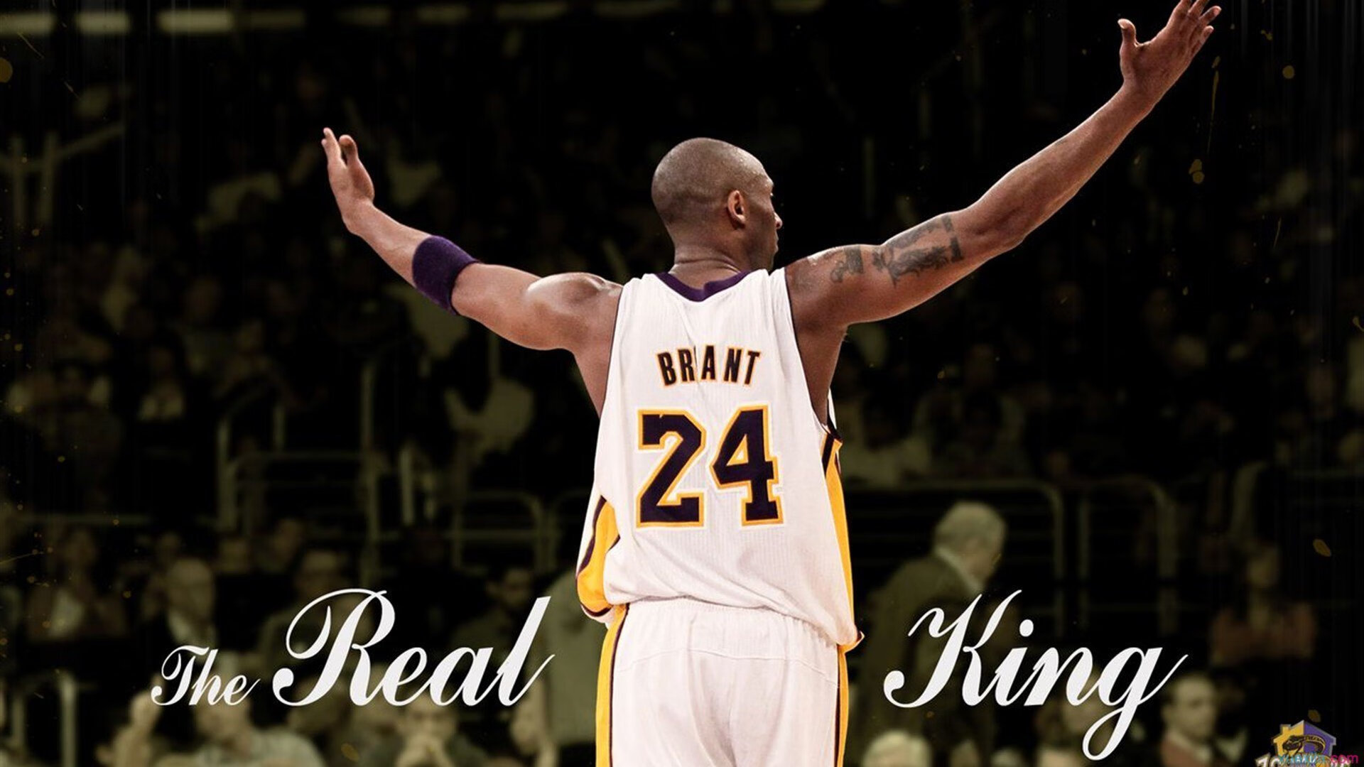 《电竞职业化道路:如何打造更专业的产业体系》,电竞职业化的开始